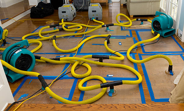 Professional Burst Pipe Water Damage technician working in Waynesburg, PA